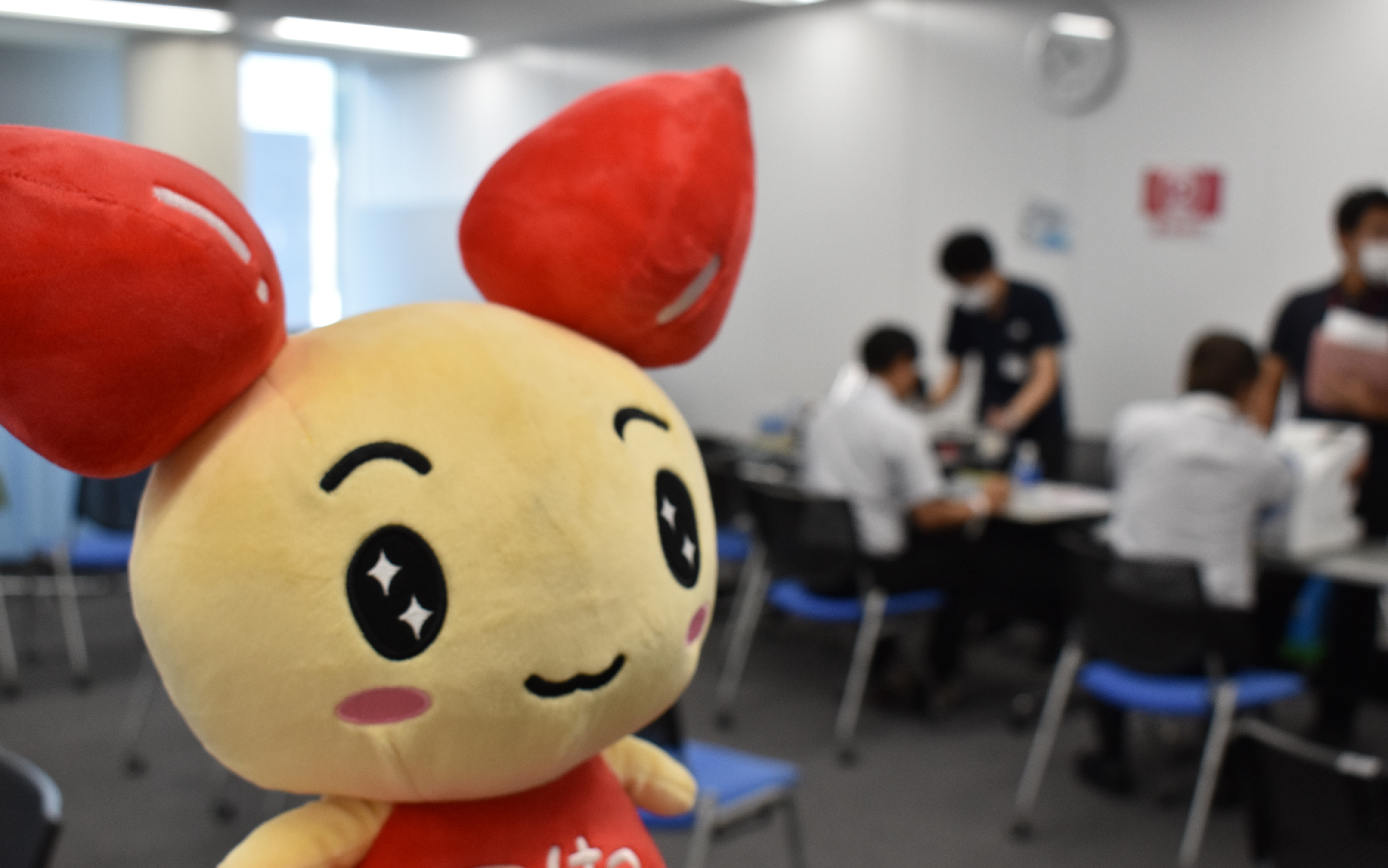 団体献血の写真